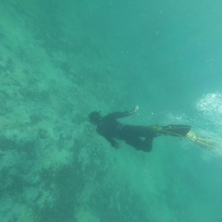 Refugio Del Archipielago プンタ・デ・チョロス エクステリア 写真